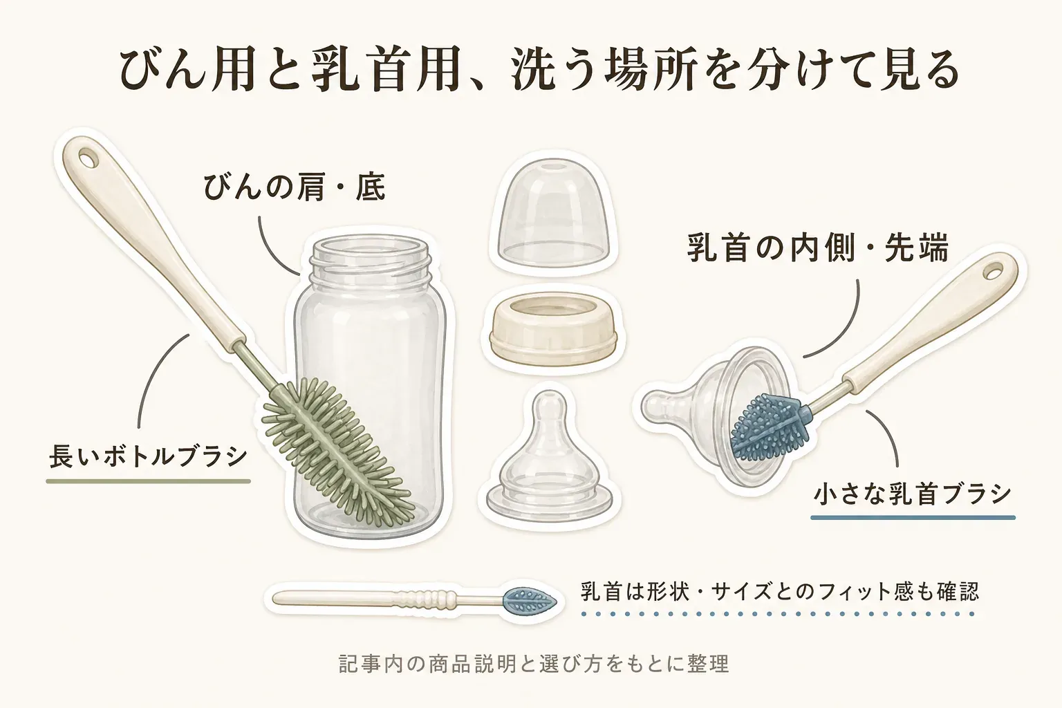 哺乳びんと乳首で洗う場所を分ける図。長いボトルブラシでびんの肩・底を洗い、小さな乳首ブラシで乳首の内側・先端を洗うこと、乳首は形状・サイズとのフィット感も確認することを、記事内の商品説明と選び方をもとに示している。